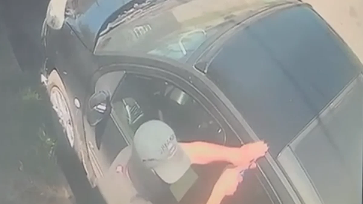La Plata: el video del robo que realizó el padre de Agustín Almendra