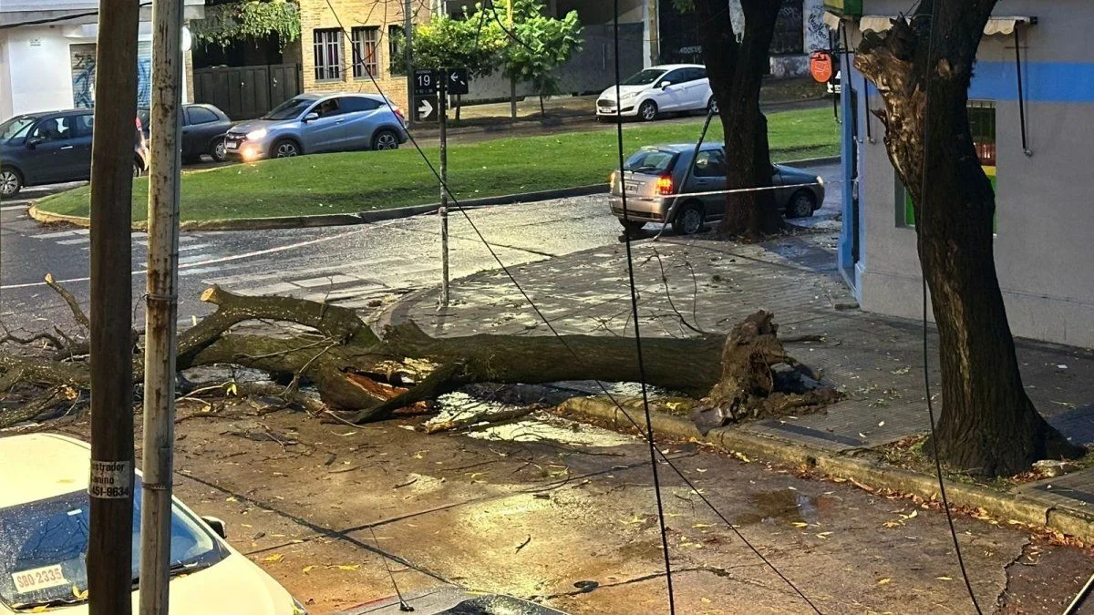 Dura tormenta azotó a La Plata durante la madrugada