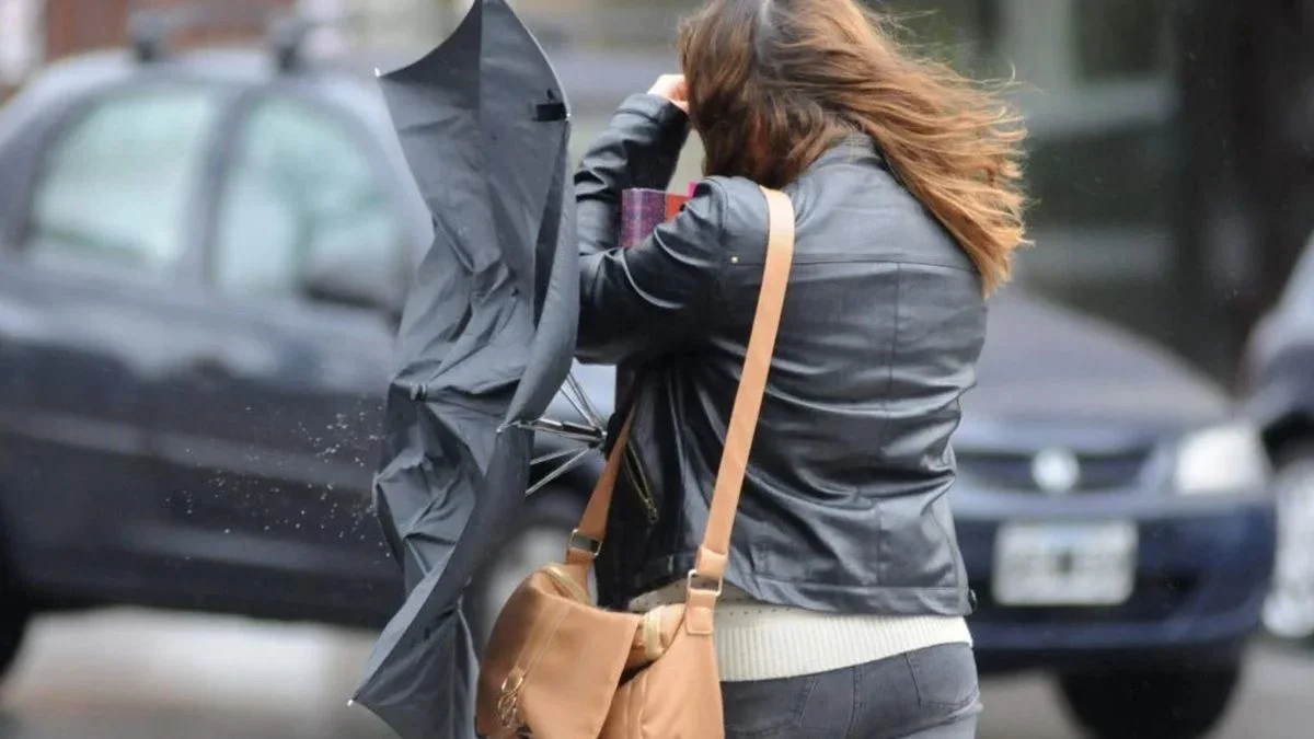 Precaución en La Plata por fuertes vientos y ráfagas intensas