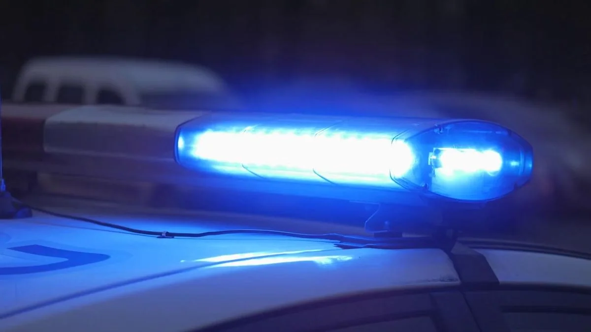 Brutal asalto en Etcheverry expone la inseguridad en La Plata