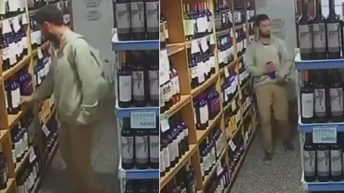 Robó vinos en un supermercado de Melchor Romero y quedó grabado