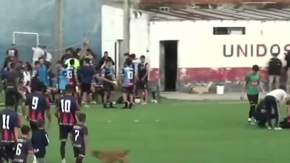 Jugador de la Liga Amateur Platense chocó accidentalmente a una fotógrafa