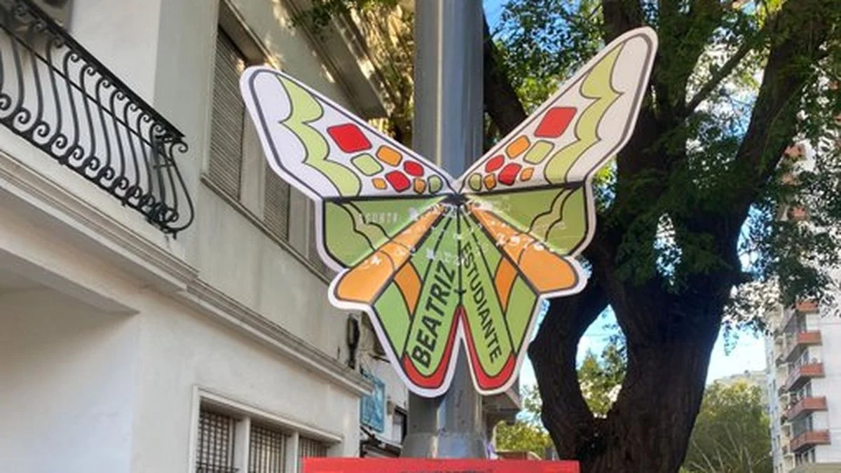 El misterio de las mariposas en La Plata por el Día de la Memoria