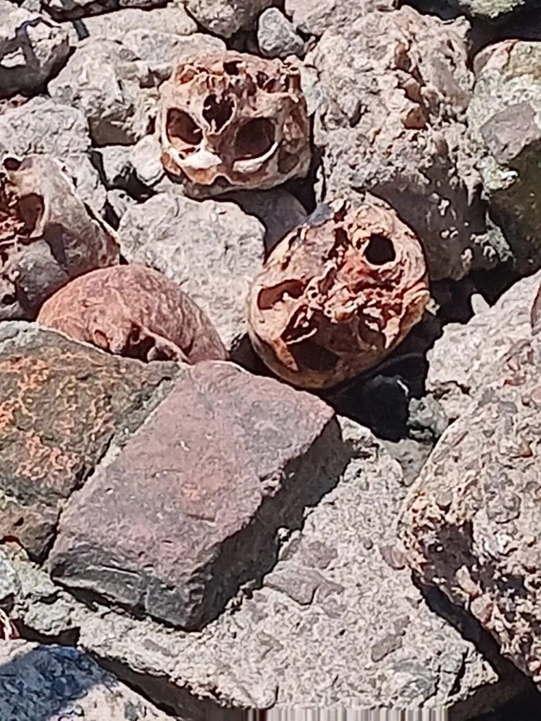 Macabro hallazgo en las orillas del R&iacute;o de La Plata