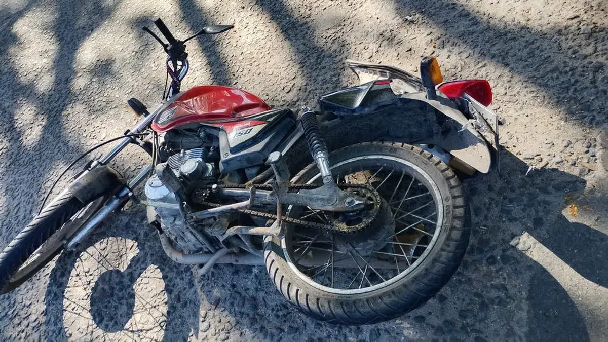 Atropellaron a una madre y a su hijo de 2 años en Tolosa