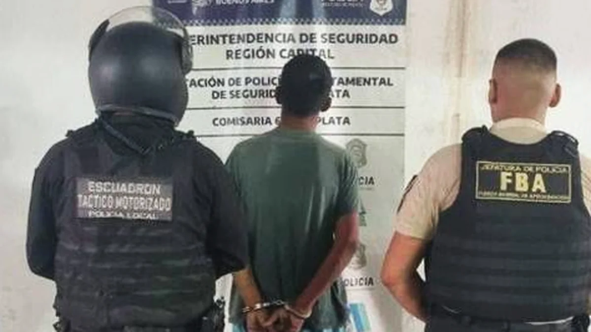 Robó electrodomésticos y cayó mientras huía en Tolosa