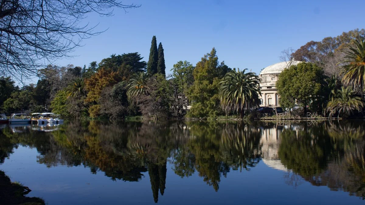 El Bosque de La Plata en crisis: oscuridad, mosquitos y caos amenazan
