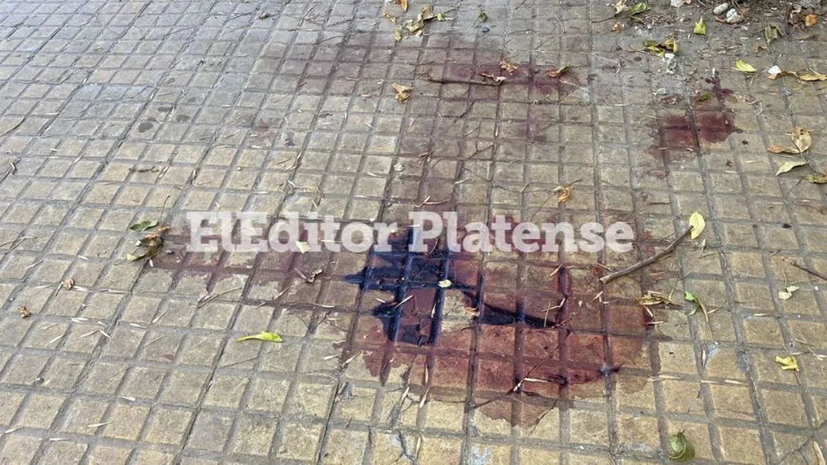 "Se le tiró encima y la apuñaló": habló una vecina de La Plata tras el asesinato