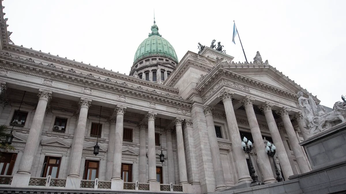 El Senado reactivará la ley que declara la emergencia en discapacidad