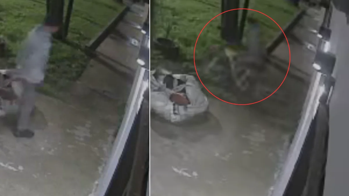 En segundos, entró a una casa y robó una bicicleta en Los Hornos