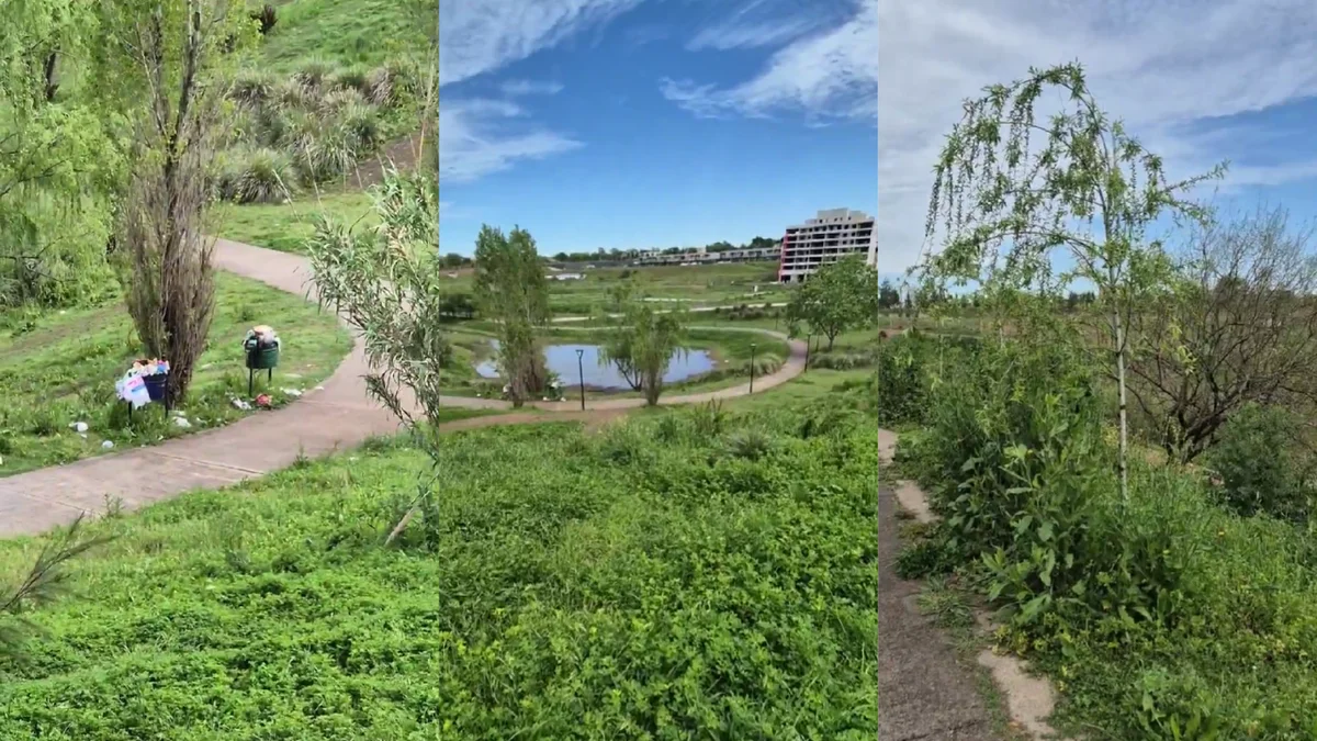 Vecinos denuncian el abandono de la Cantera de Gorina