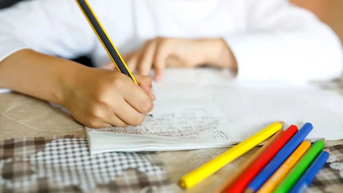 El radicalismo de la Provincia reclama que la educación vuelva a ser prioridad