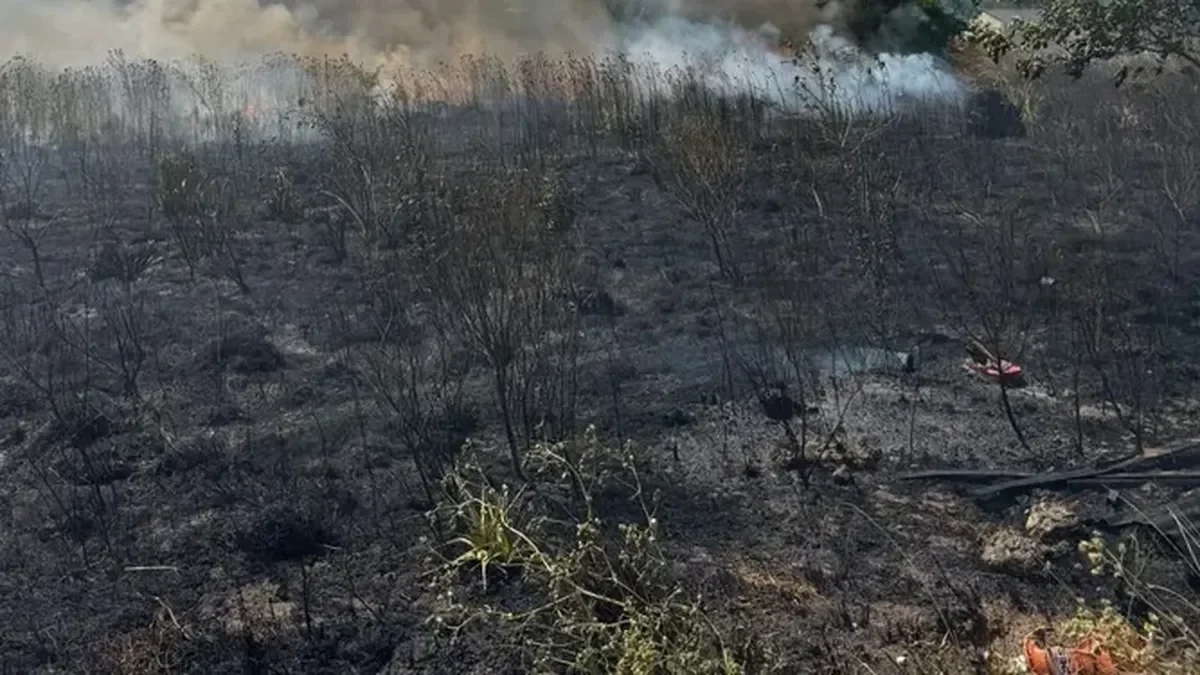 Bomberos contuvieron un nuevo incendio en un barrio de La Plata