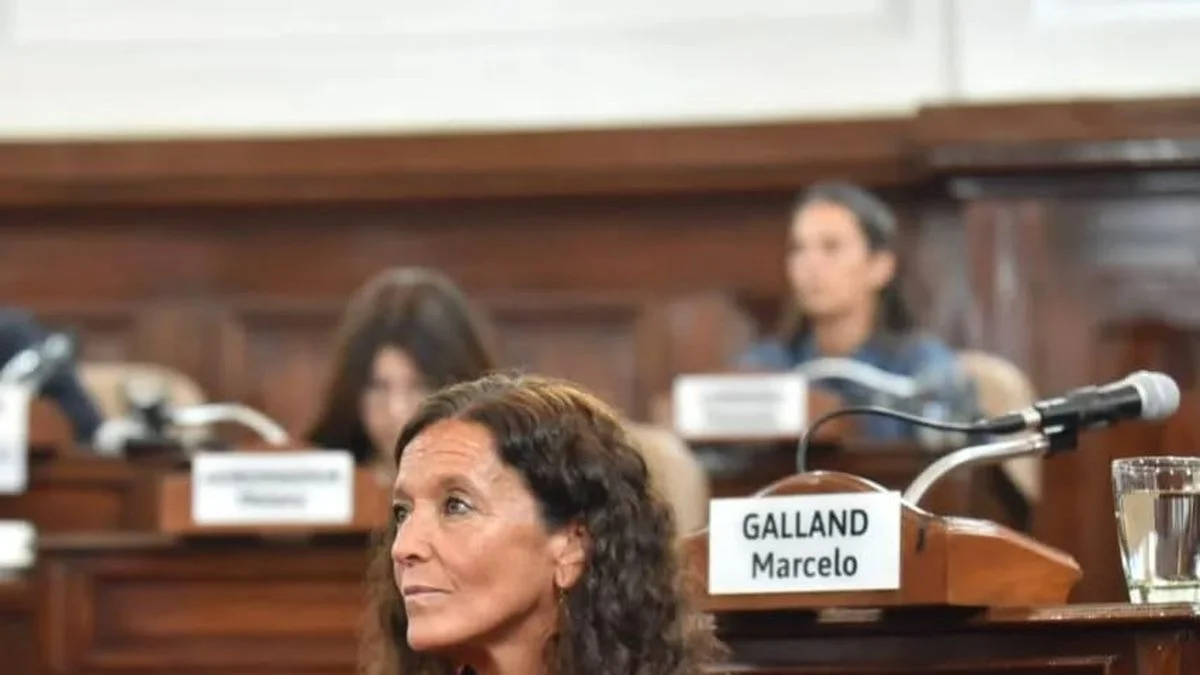 Piden abrir un sumario contra la Defensora Ciudadana de La Plata por críticas a Milei