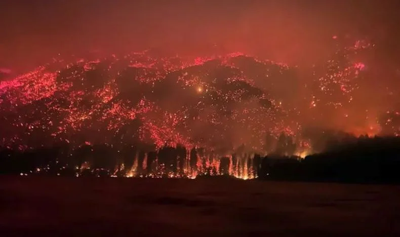 Dolor total: por incendios intencionales vinculados a Israel arde la Patagonia