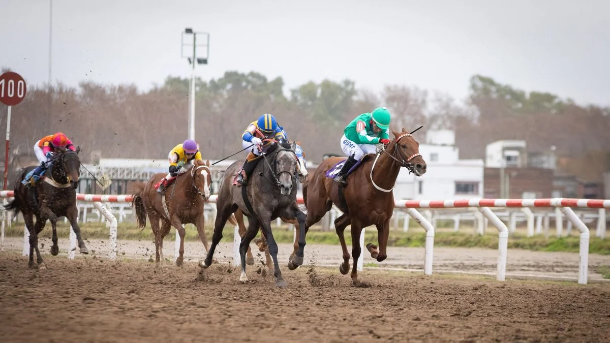 Llega el Especial La Plata Capital este fin de semana al Hipódromo