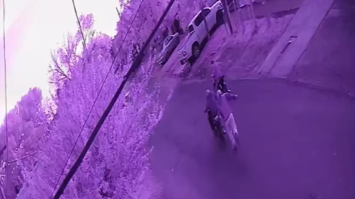 Brutal ataque en manada para robar una moto en Los Hornos