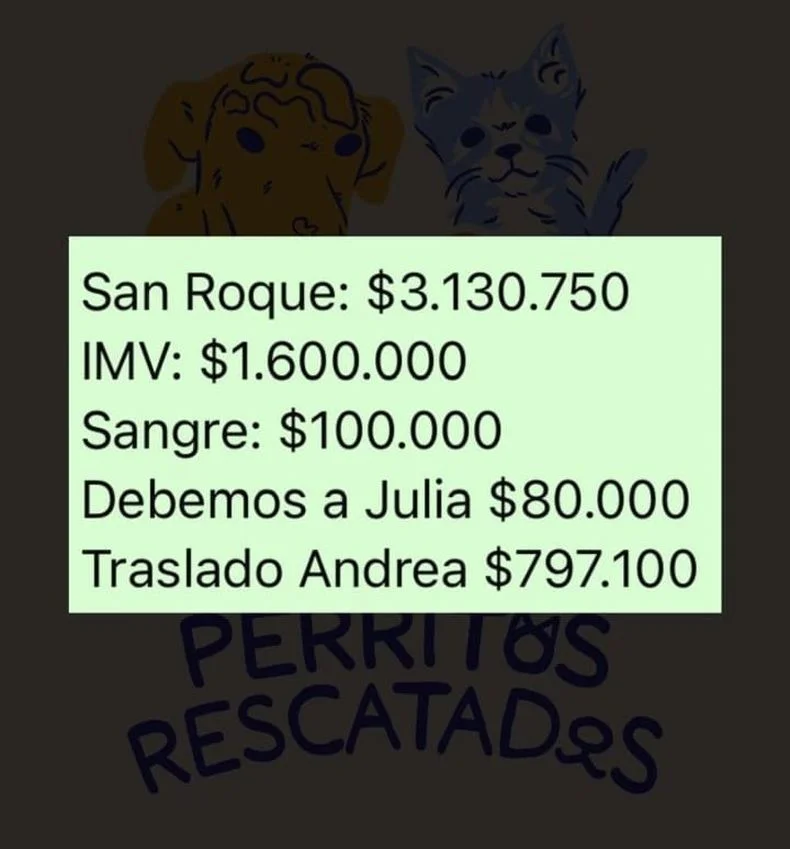 La deuda que afronta el refugio de mascotas de La Plata