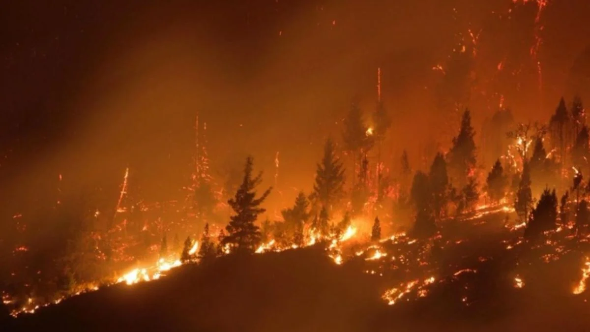 Los mapuches en categoría "terrorista" y responsables de los incendios en la Patagonia