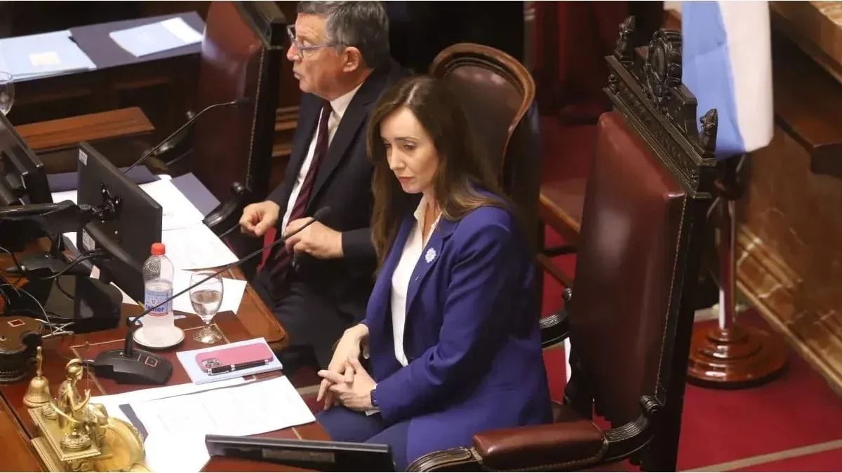 Suspensión de las PASO ¿Qué pasará en el Senado?