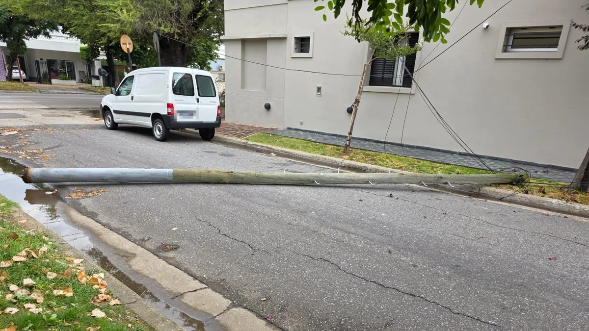 Otra vez EDELAP: un poste se cayó y provocó un corte de luz en Ringuelet