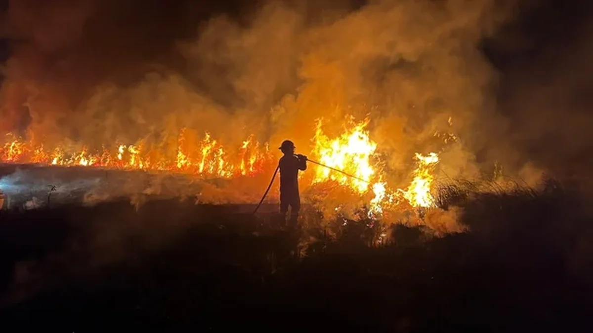 Berisso: controlaron un incendio forestal que consumió varias hectáreas