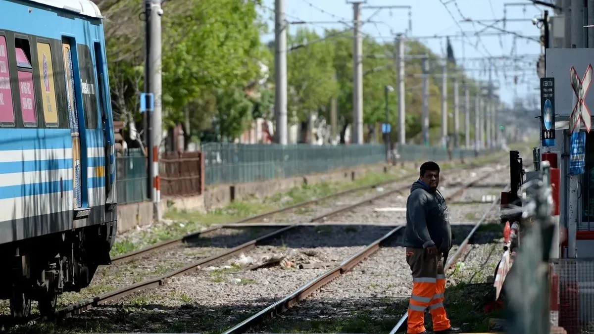 Un caballo fue embestido por un tren en La Plata