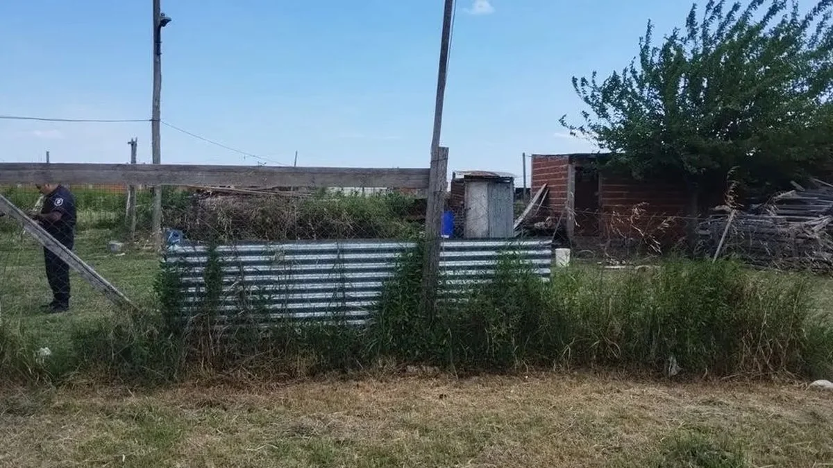 Mató a su perro tras el ataque a un niño en Melchor Romero
