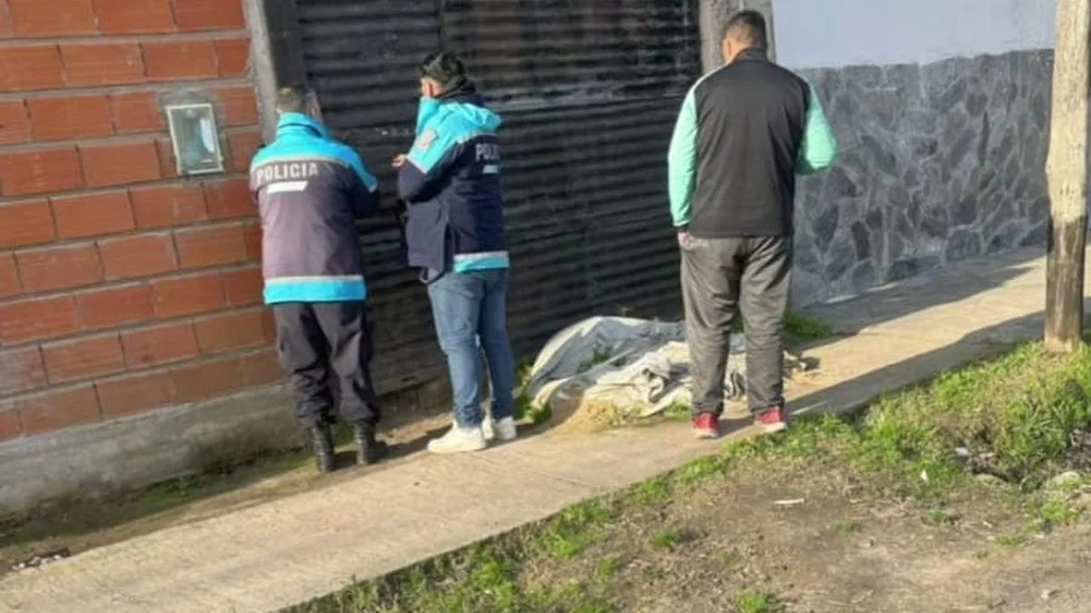 Maltrato animal: horror en La Plata por un nuevo criadero clandestino
