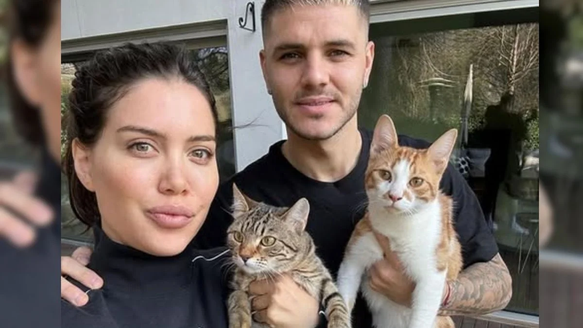Wanda Nara acusó a Mauro Icardi de abandonar los gatos que tenían en Turquía