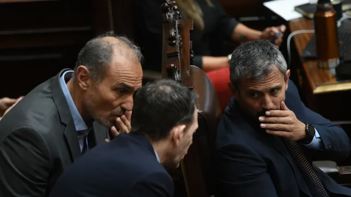 Pese a aprobarse en general, la Ley Anti-DNU volverá al Senado
