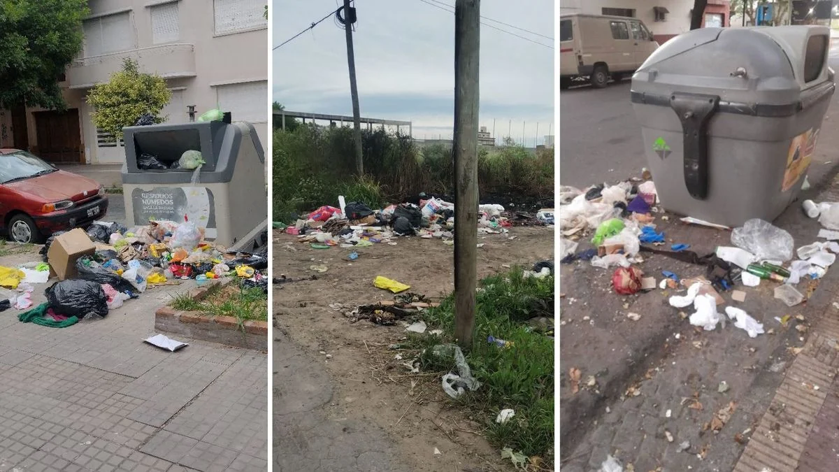Vecinos de La Plata cansados de la acumulación de basura en la calle