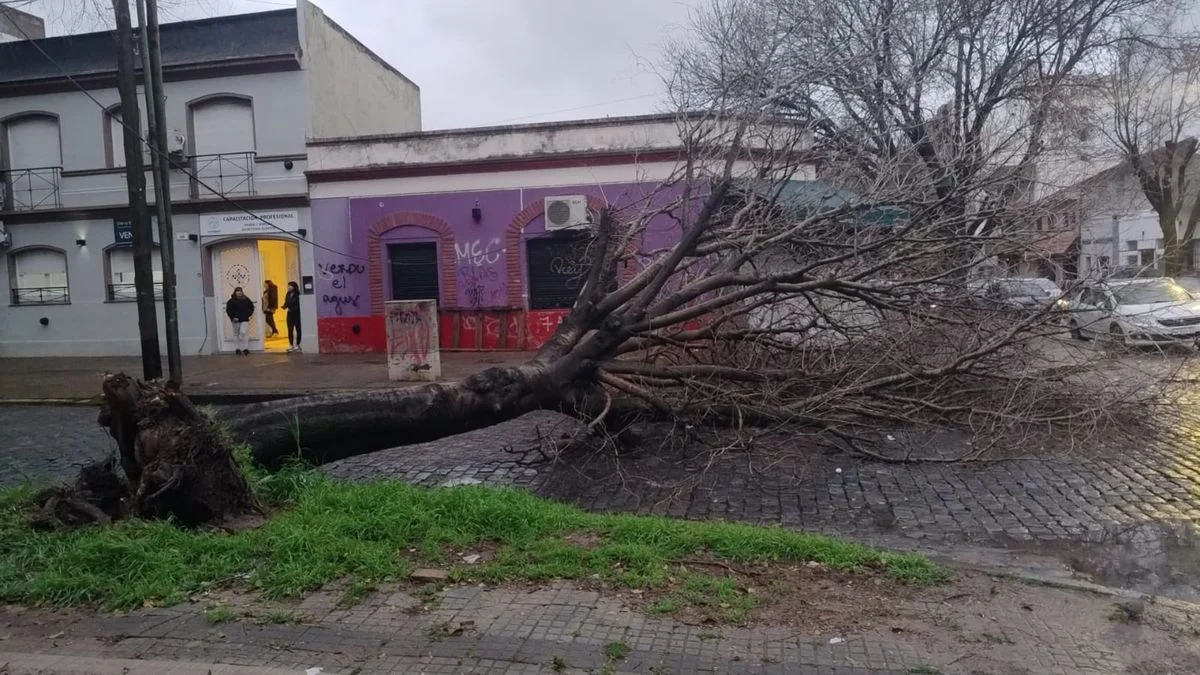 Santa Rosa en La Plata: árboles caídos y calles anegadas
