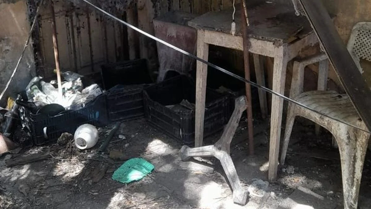 Encontraron a varios gatos muertos en una casa de Berisso