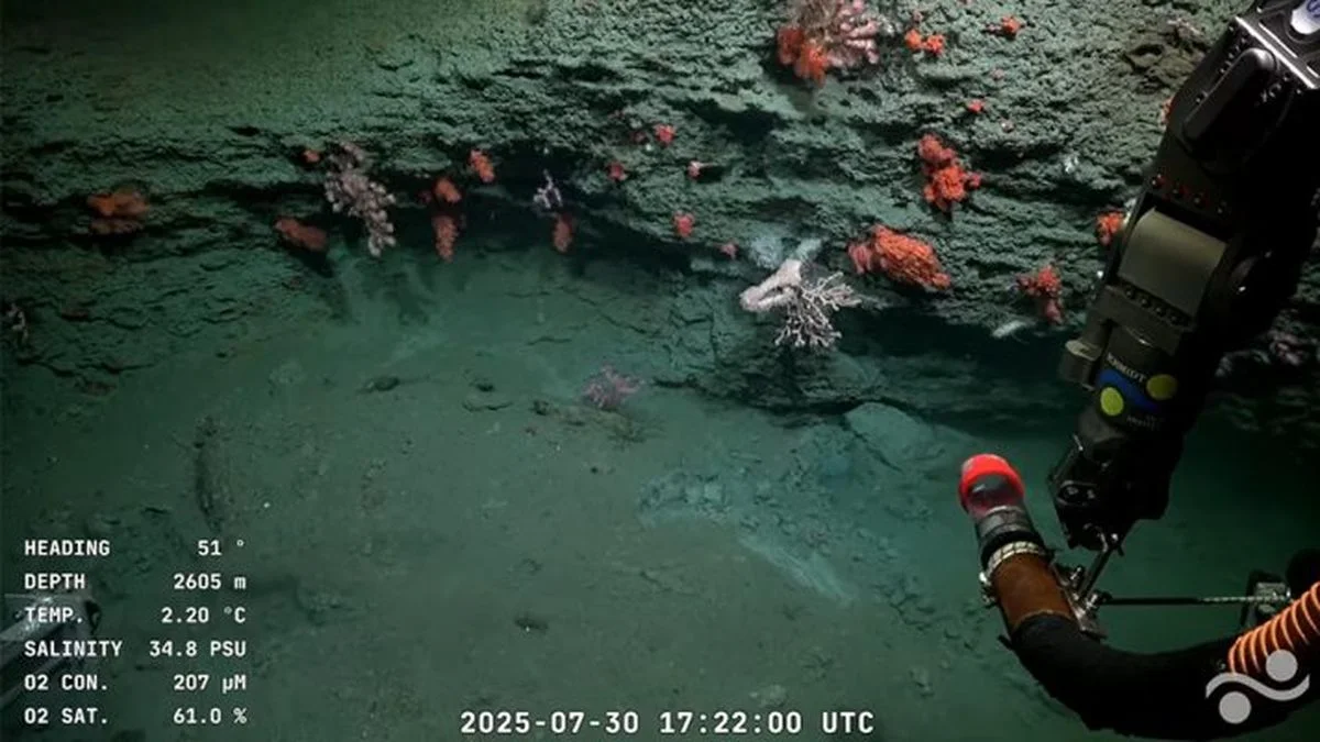 El CONICET lanza otra transmisión en vivo que promete ser histórica