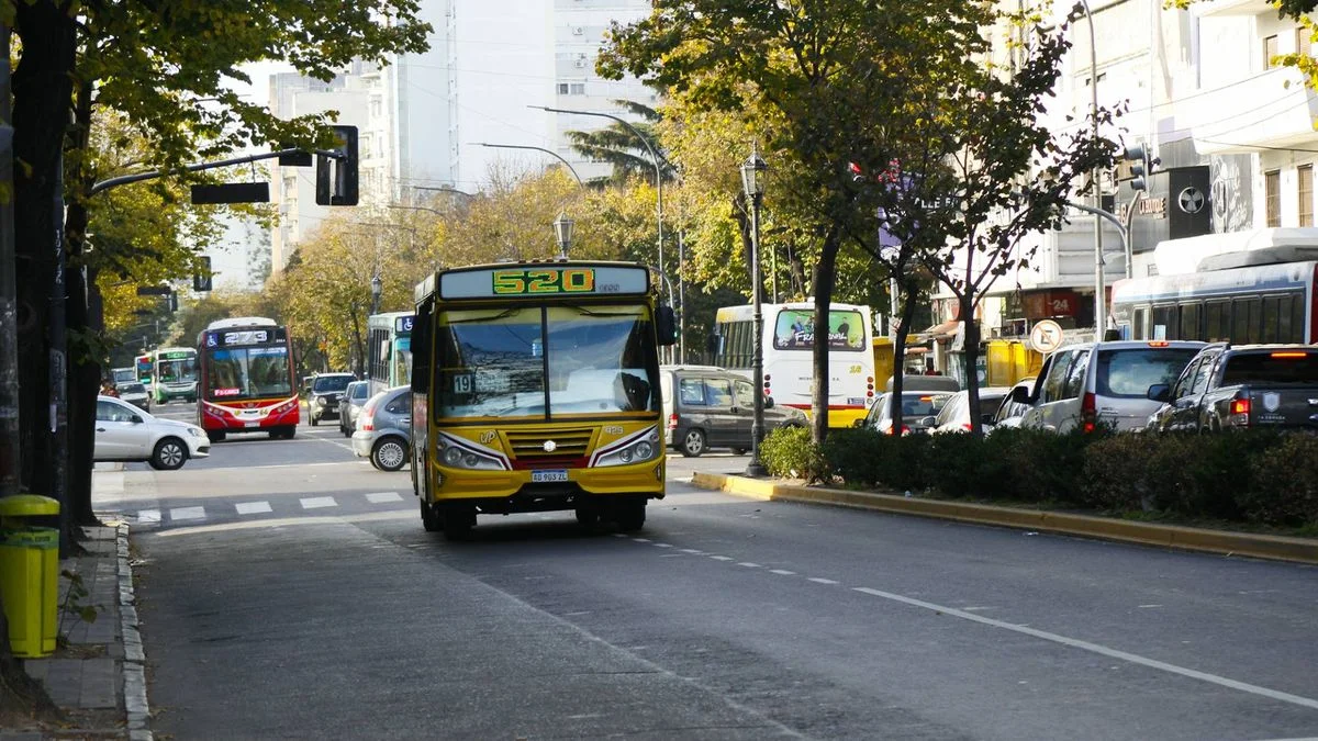 Desde hoy viajar en micro en La Plata es más caro: los nuevos valores del boleto