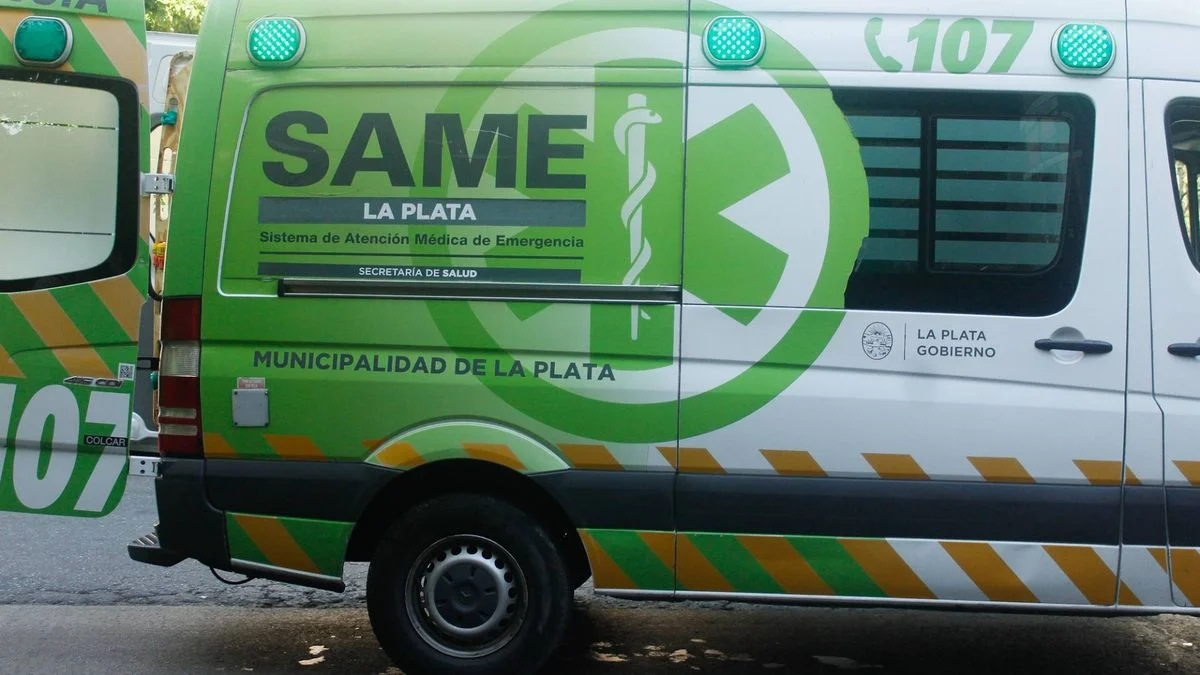 Murió un joven tras chocar contra un poste en San Carlos