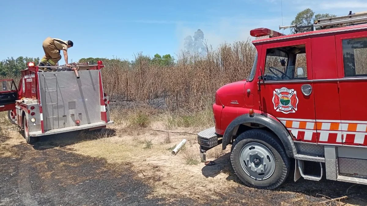 Voraz incendio en campos de Arturo Seguí