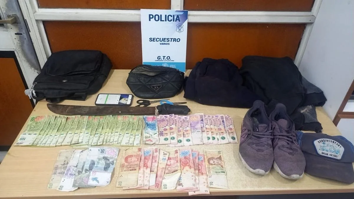 Dos menores robaron un comercio de La Plata con un machete