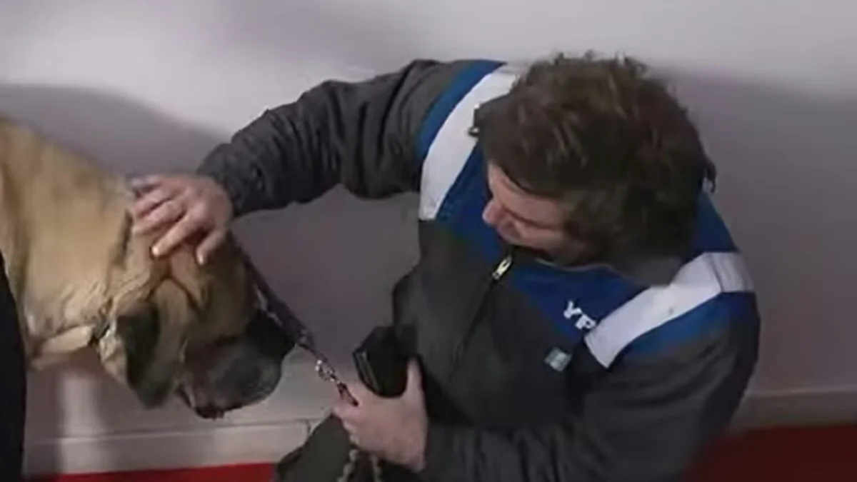 Javier Milei asistió a una entrevista con su perro Conan