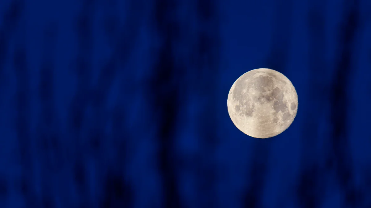 Se viene la Luna de Nieve y podrá verse en La Plata