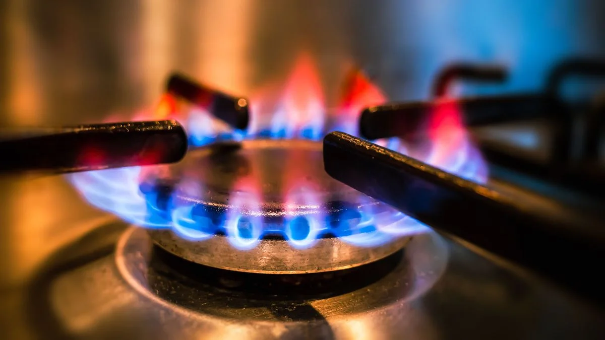 Cómo prevenir intoxicaciones por monóxido de carbono
