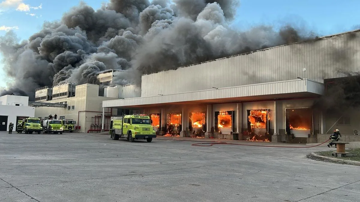 El Frigorífico Gorina seguirá paralizado tras el incendio