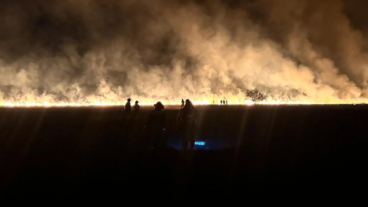 Así fue el impresionante incendio a metros de la Autopista La Plata – Buenos Aires