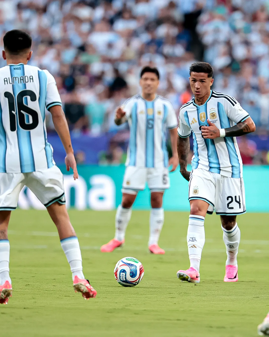 enzo-fernandez-seleccion-argentina
