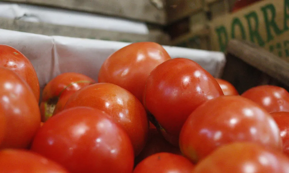 Tomates
