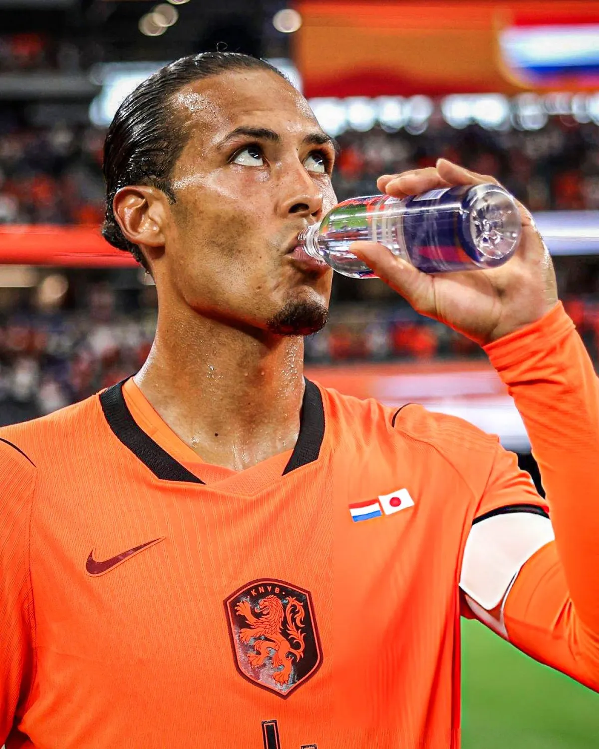 Van Dijk Holanda Paises Bajos