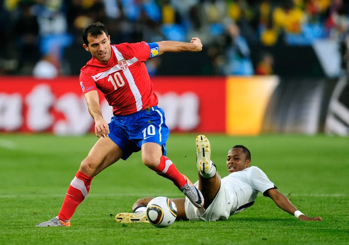 stankovic 2010
