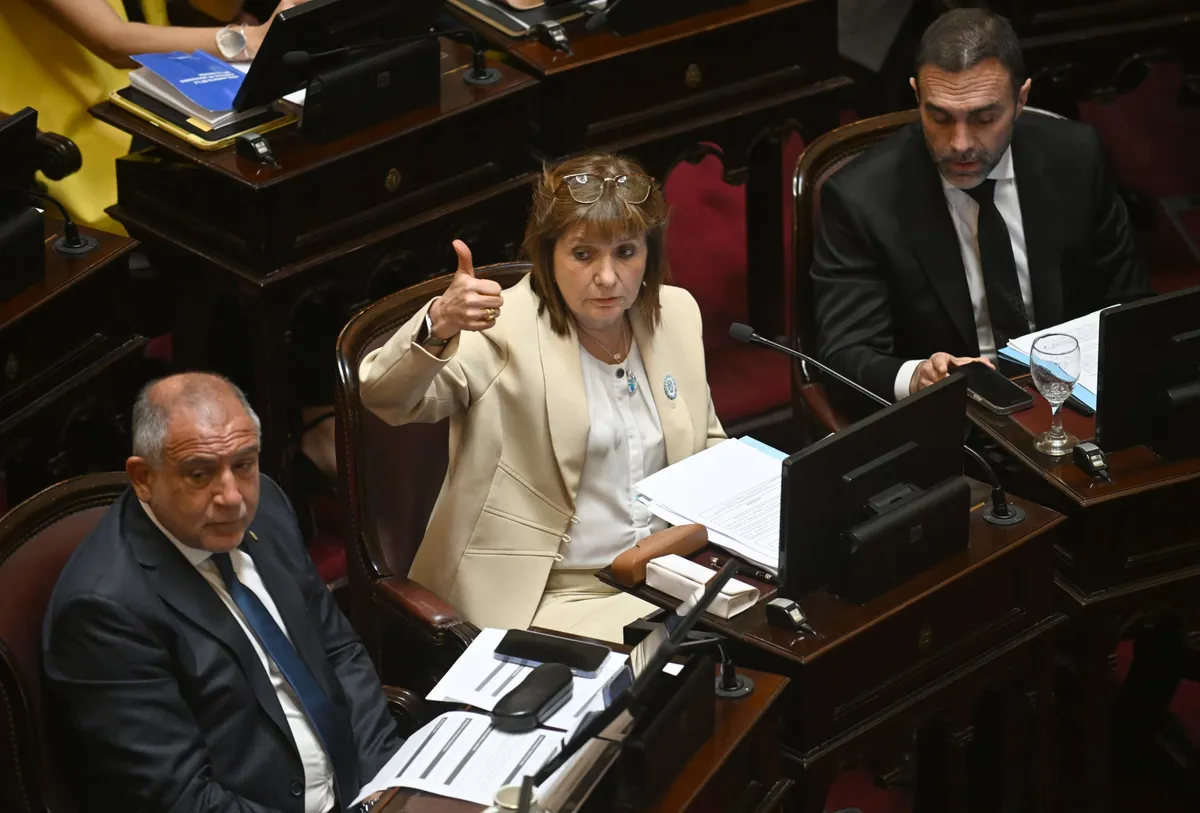 patricia-bullrich-senado