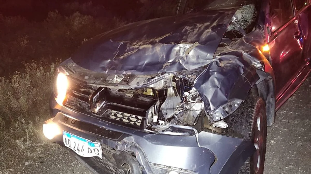 Tres camionetas chocaron contra dos vacas que se cruzaron en la ruta 40